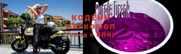 молекула духа Костерёво