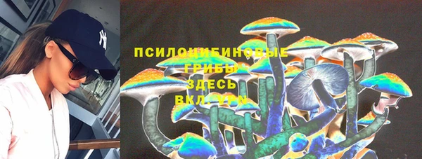 МДПВ Корсаков