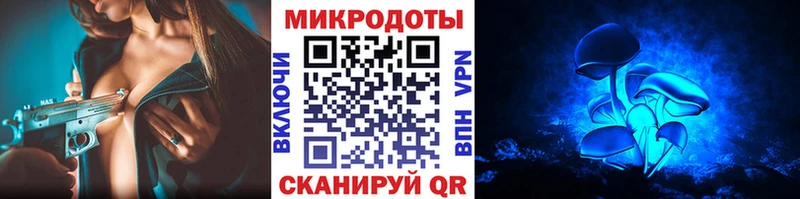 Купить закладки  Спас-Клепики  Галлюциногенные грибы мухоморы