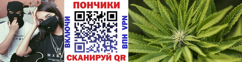 Купить  Спас-Клепики  МАРИХУАНА планчик 